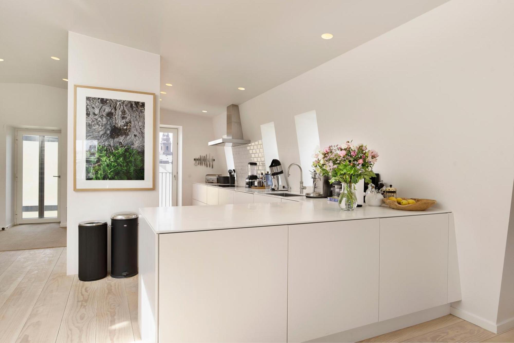 Dinesen Collection Luxury Condos كوبنهاجن المظهر الخارجي الصورة